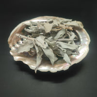 Sauge Blanche Californie Feuilles 50g