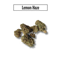Lemon Haze
