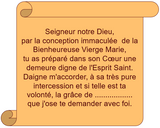 Bougie de Neuvaine Sacré Cœur de Marie