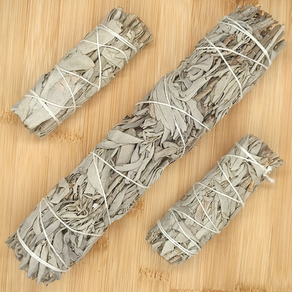 Sauge Blanche Californie