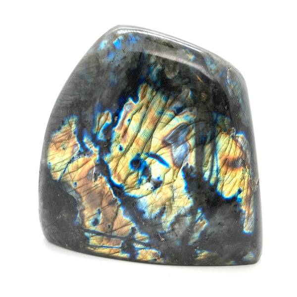 Labradorite (PLAB1)