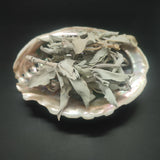 Sauge Blanche Californie Feuilles 50g